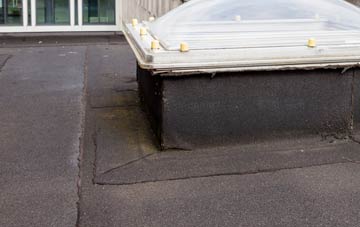 disadvantages of Parkneuk flat roofs