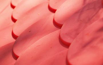 Parkneuk plastic roof costs