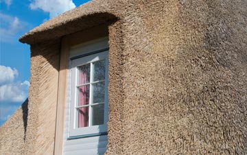 Parkneuk thatch roof disadvantages
