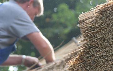 professional Parkneuk thatchers